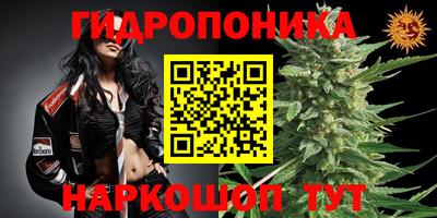 МДМА Славгород