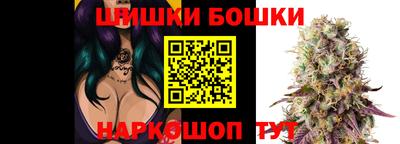 бошки Сланцы